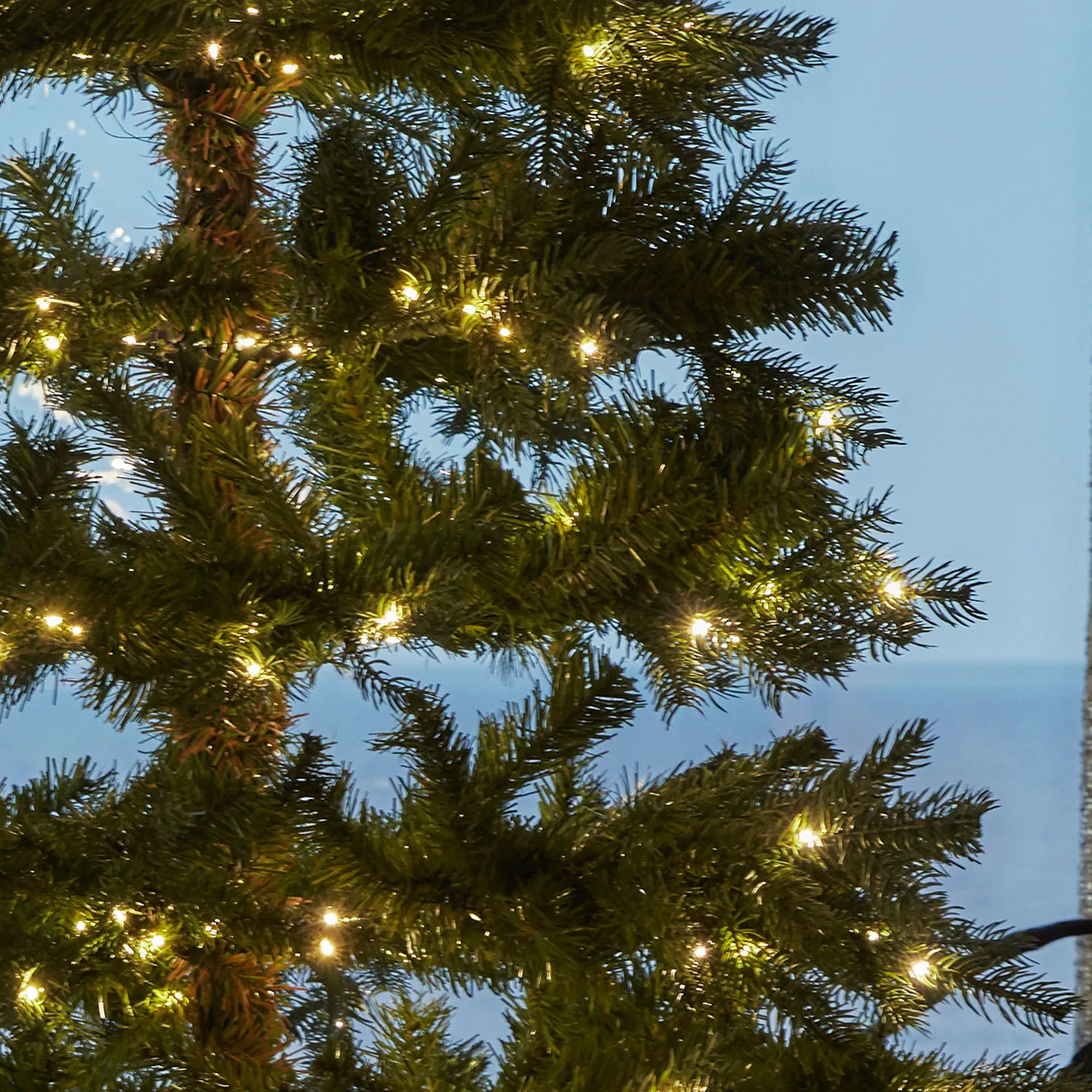 Eric Tree 1.8m - 420 LED