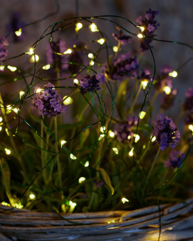 Knirke 160 LED, 15,9 m, Grøn