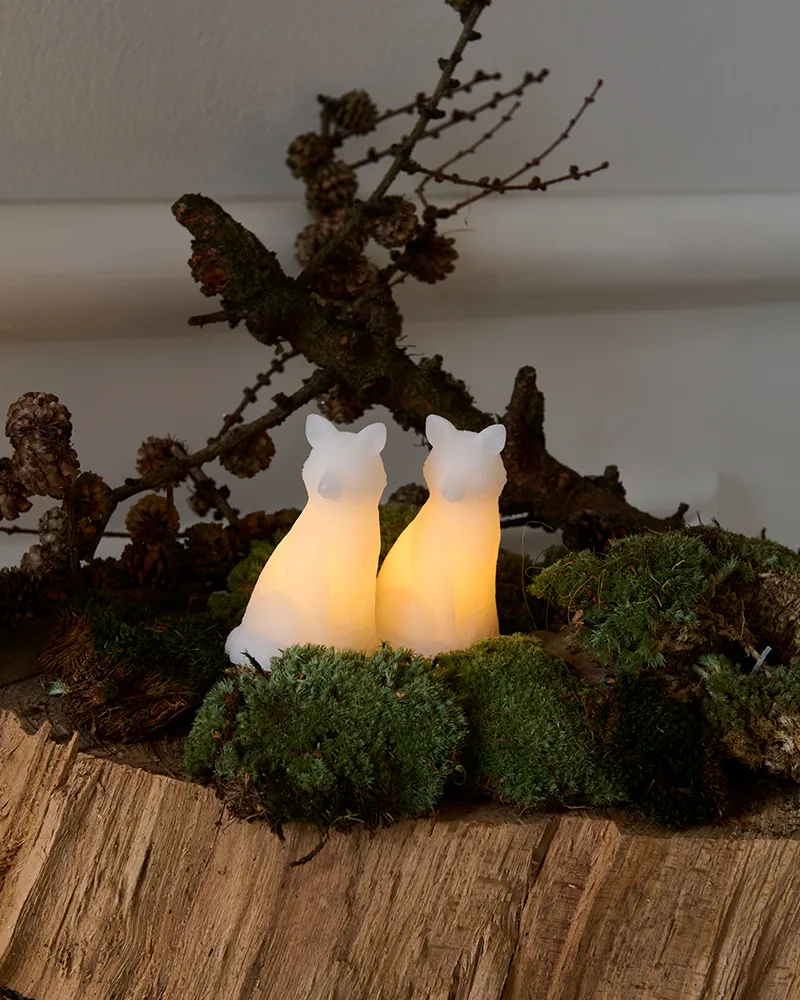 Edda Fox, 2 pcs. set