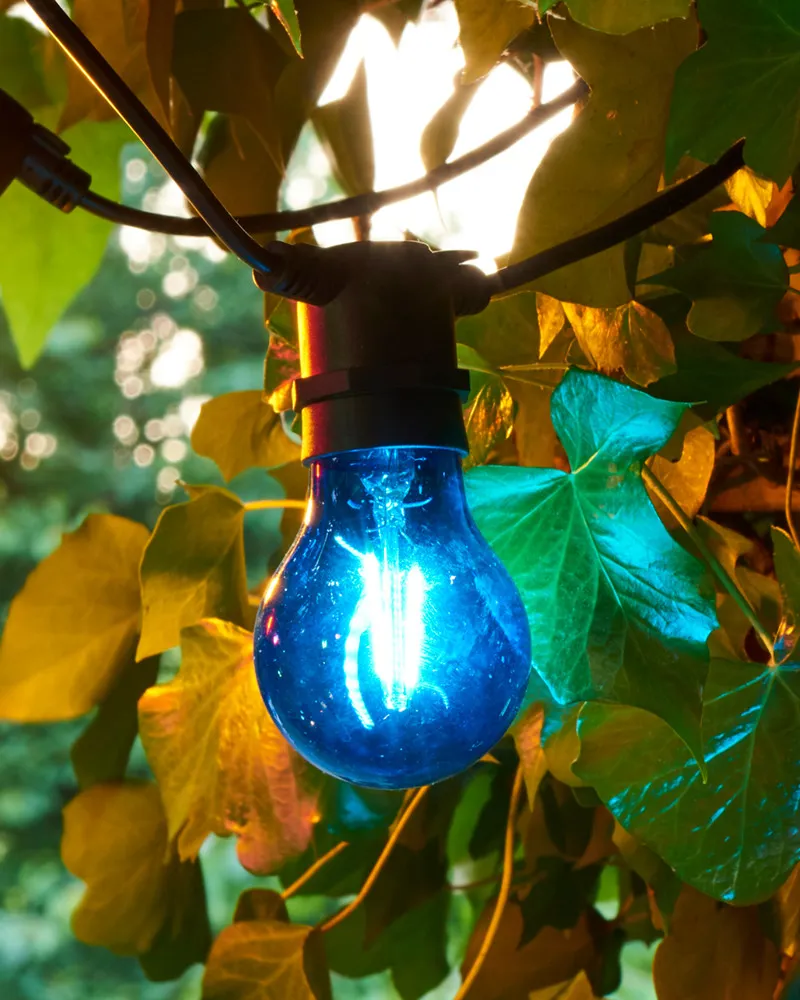 Tobias Sparebulb, Blue