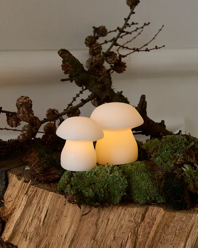 Elvina Mushroom, 2 pcs. set
