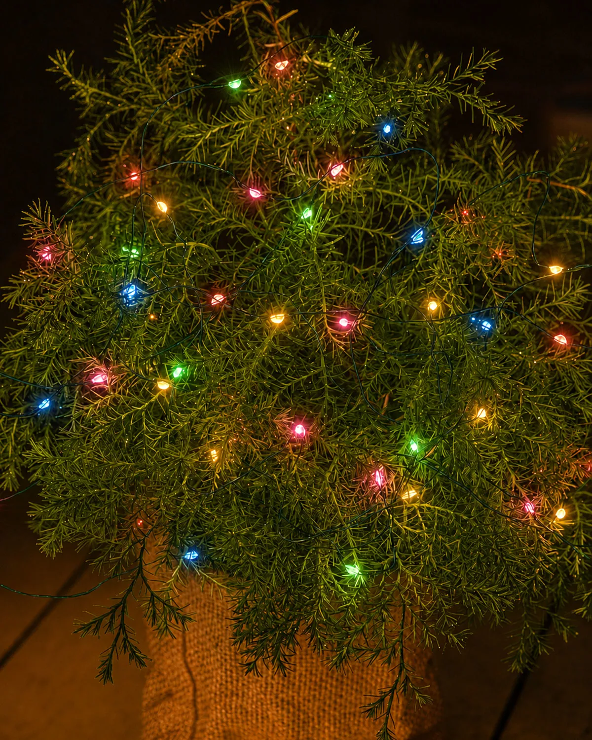 Knirke Multi 40 LED, 3.9m, Grøn