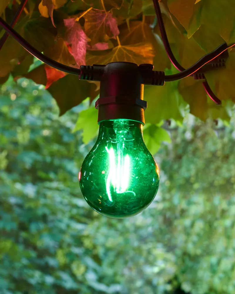 Tobias Sparebulp, Green