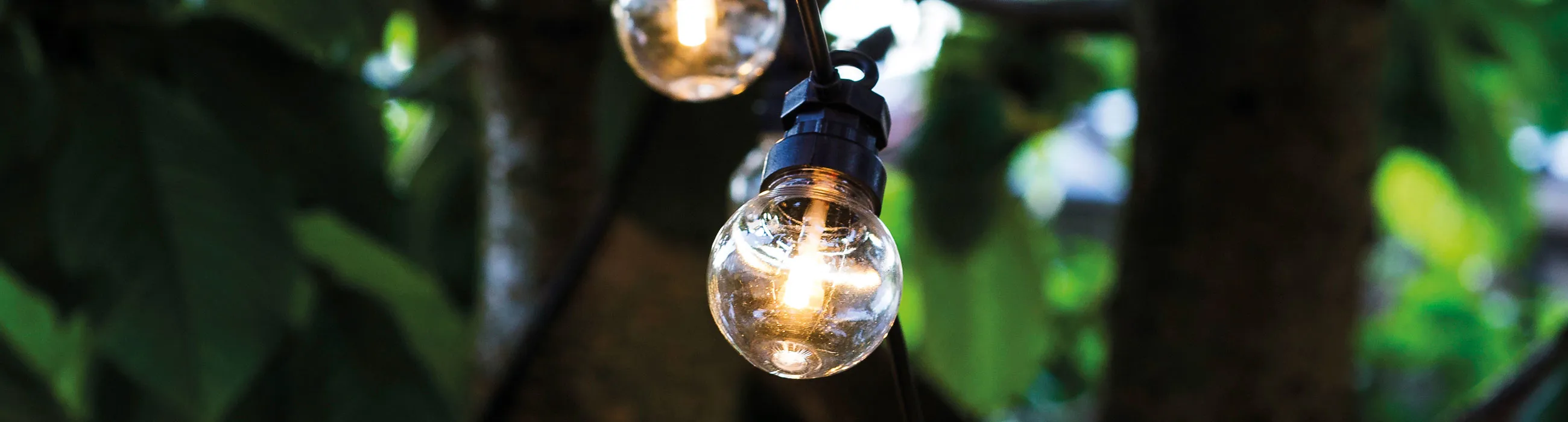 The Lucas String Light