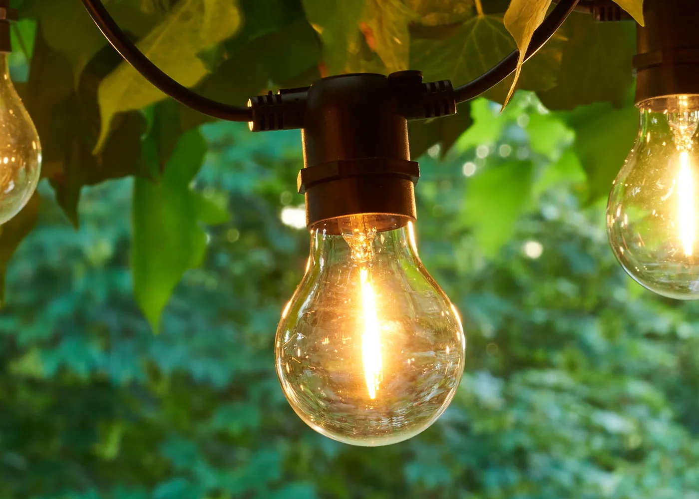 Replacement Bulbs
