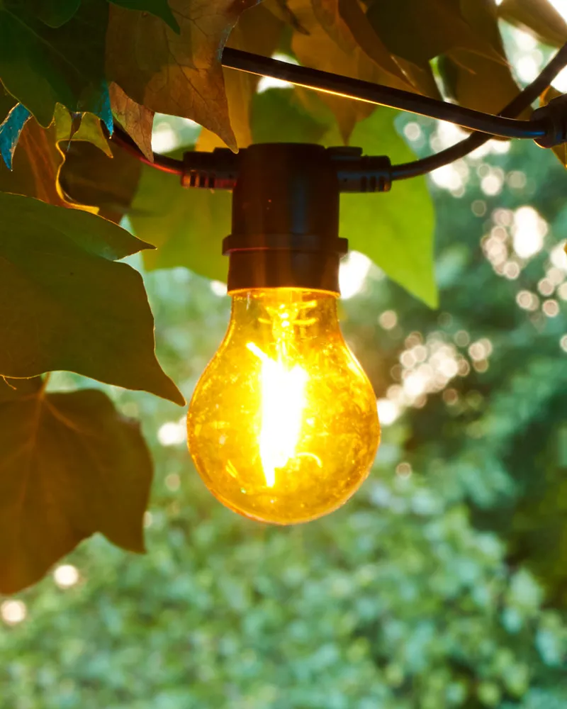 Tobias Sparebulb, Yellow