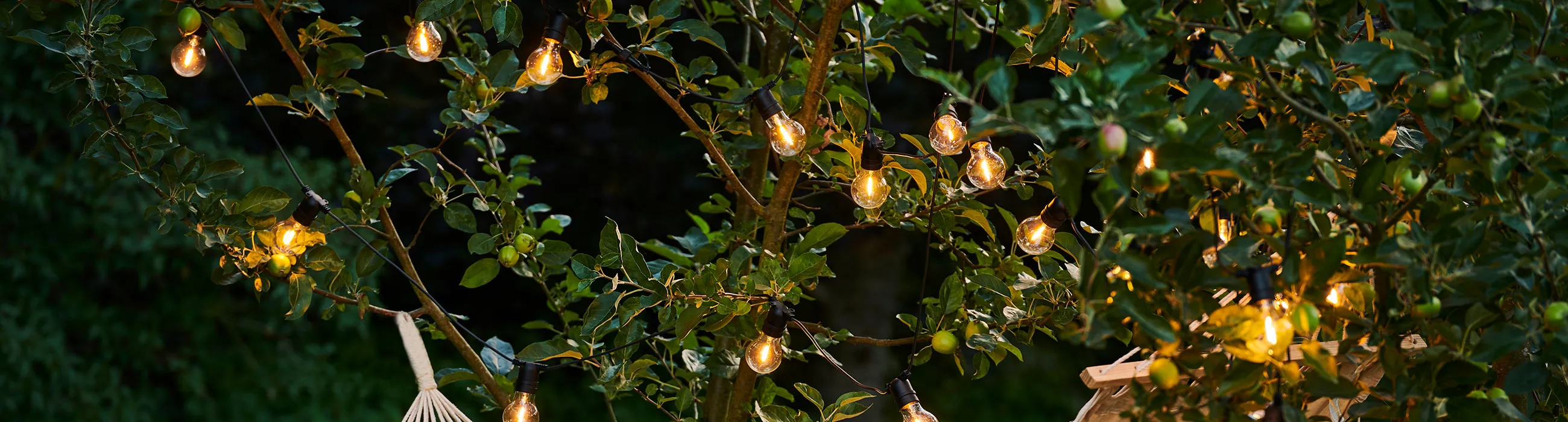 Tobias replacement bulbs
