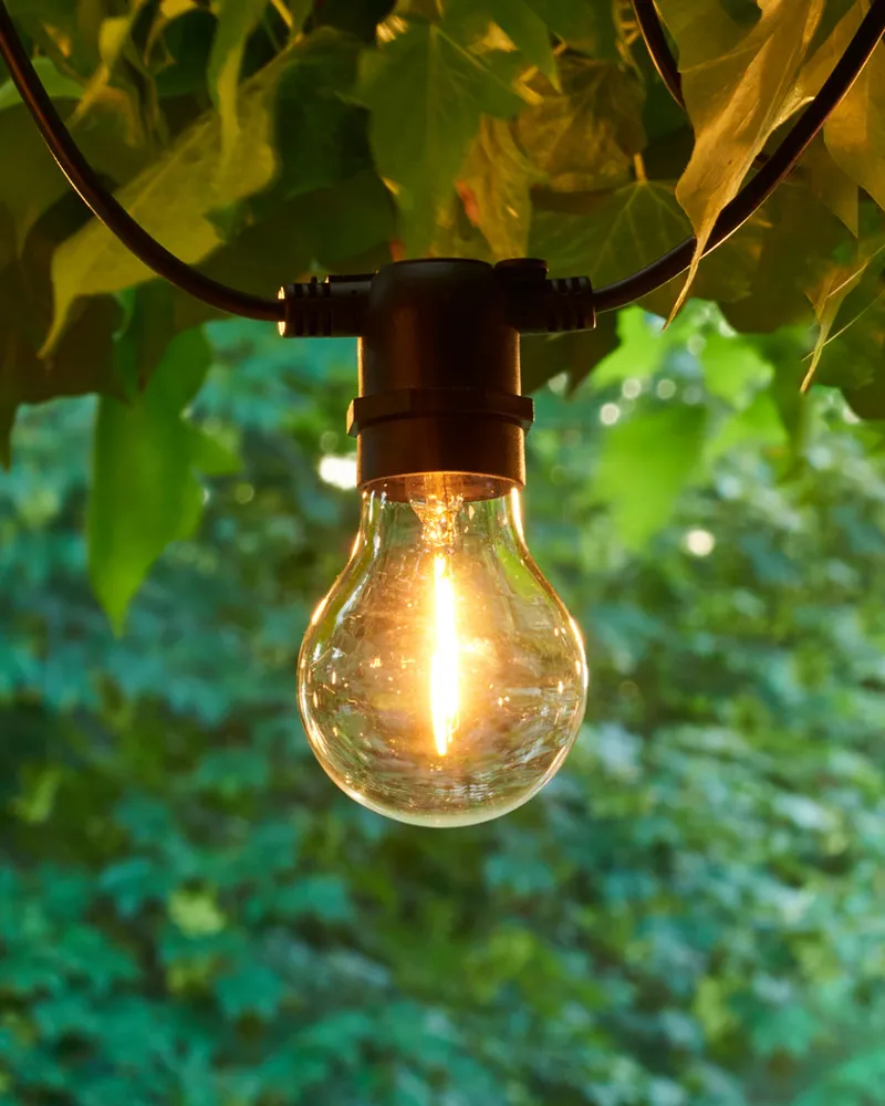 Tobias Sparebulb, Clear