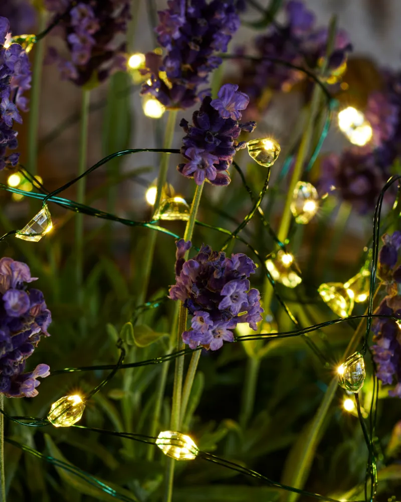 Maggie 40 LED