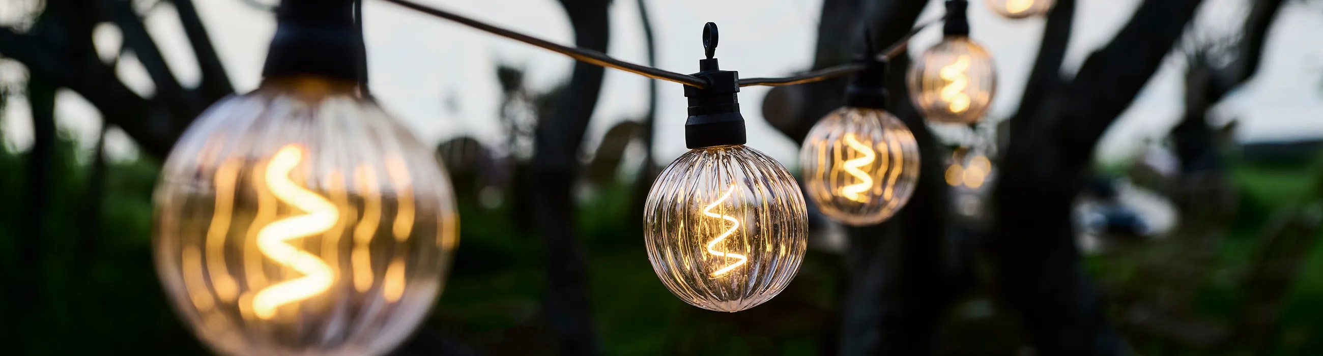 The Luke String Light